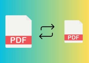 PDFs konvertieren